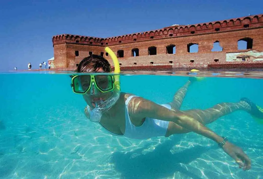 girl snorkels during a Dry Tortugas Public Charter