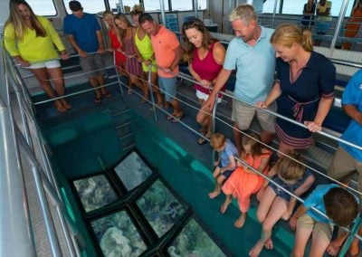 Looking through the Key West Glass Bottom Boat viewing deck.