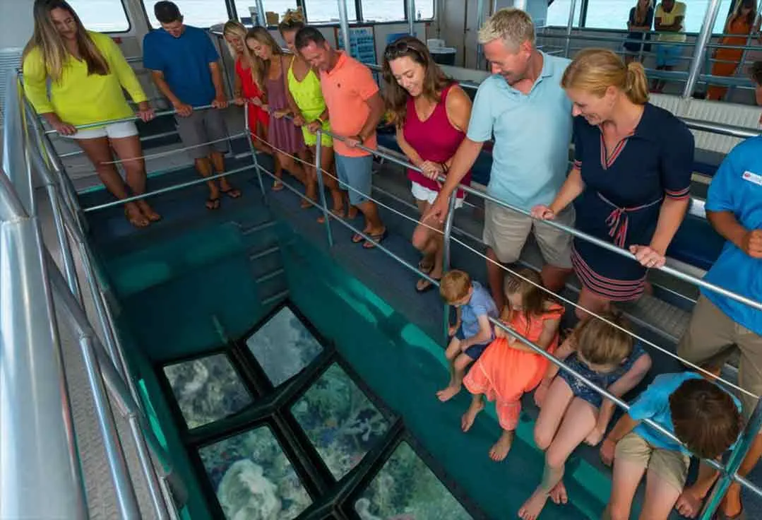Looking through the Key West Glass Bottom Boat viewing deck.