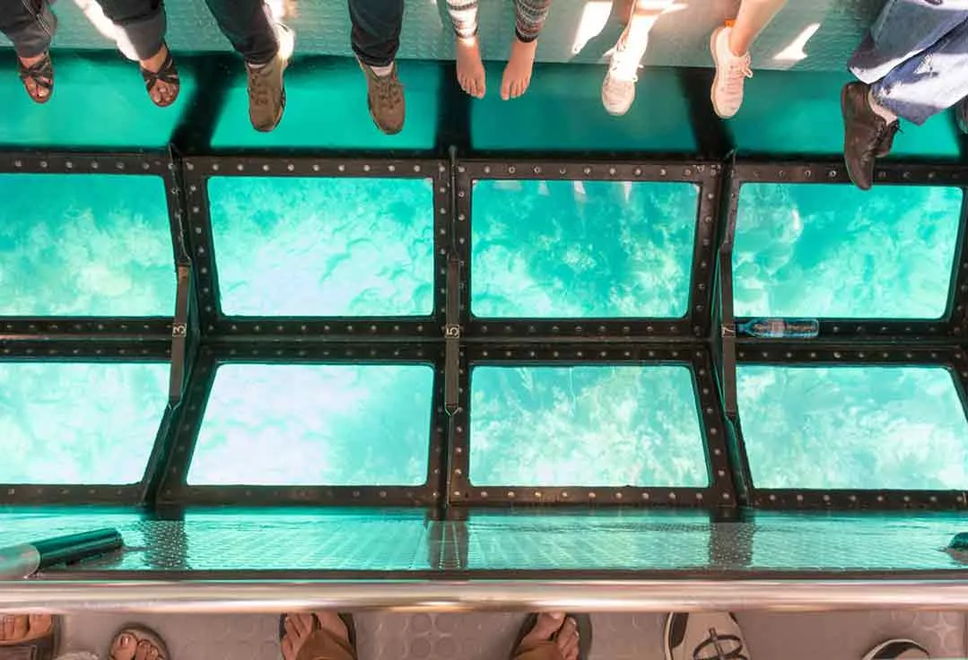 The observation floor on a Key West Glass Bottom Boat trip.