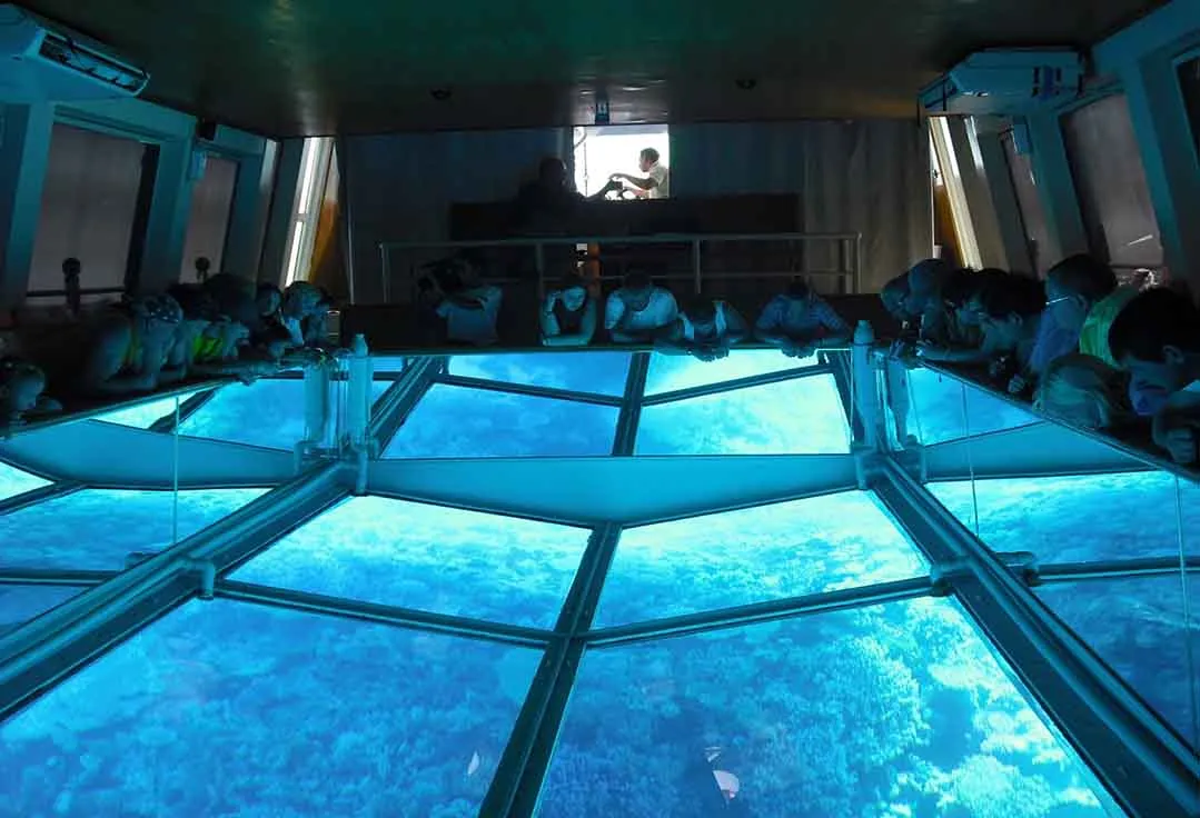 People observe a glass bottom boat floor with Stay on a boat in Key West charter