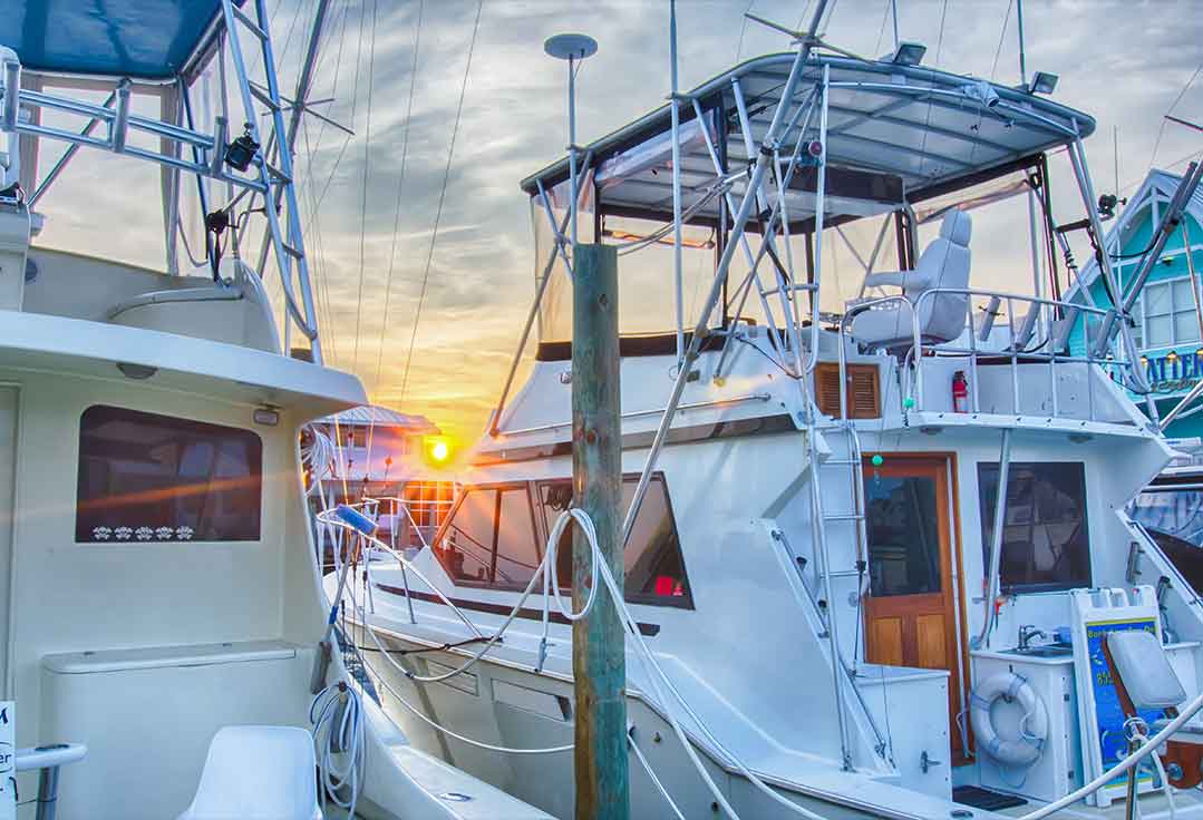 Sportfish boats with key west fishing charters