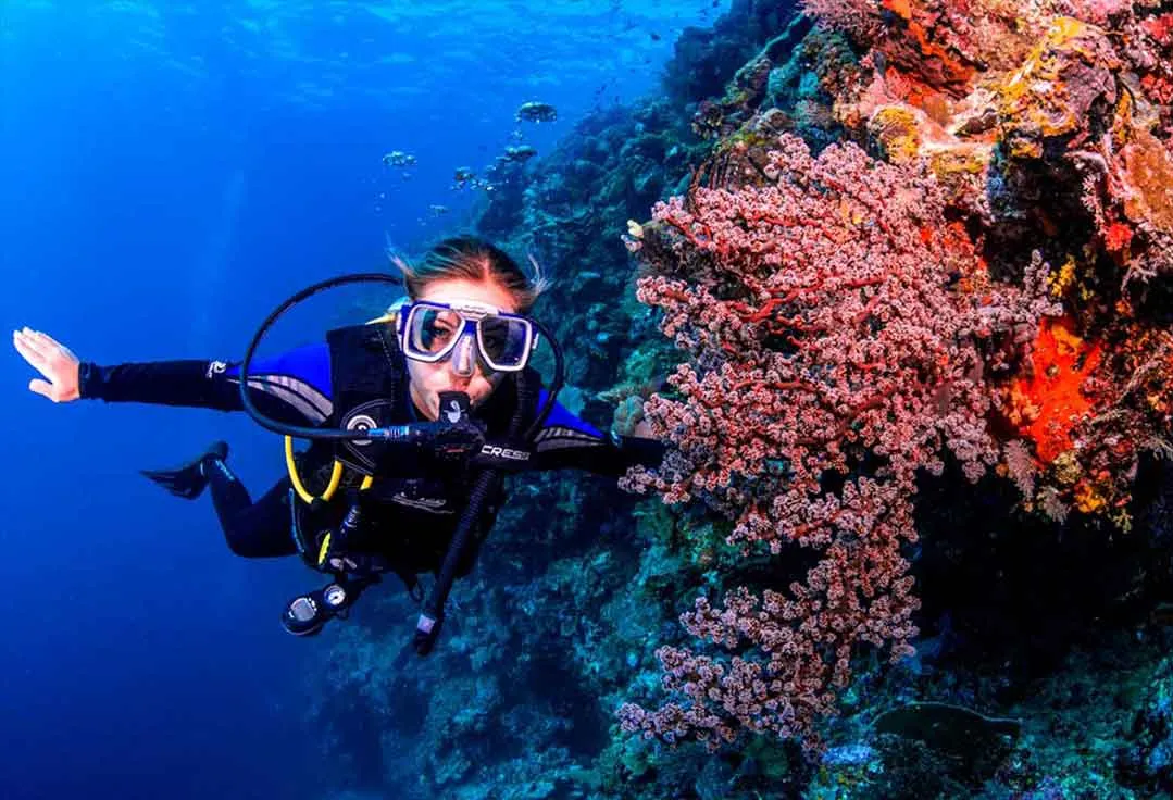 Lady explores our barrier reef with Key West Scuba Diving