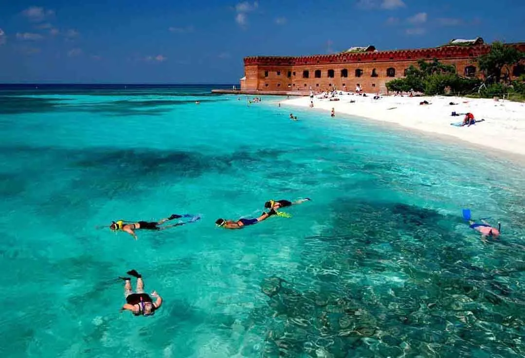 People snorkeling at the Dry Tortugas National Park.