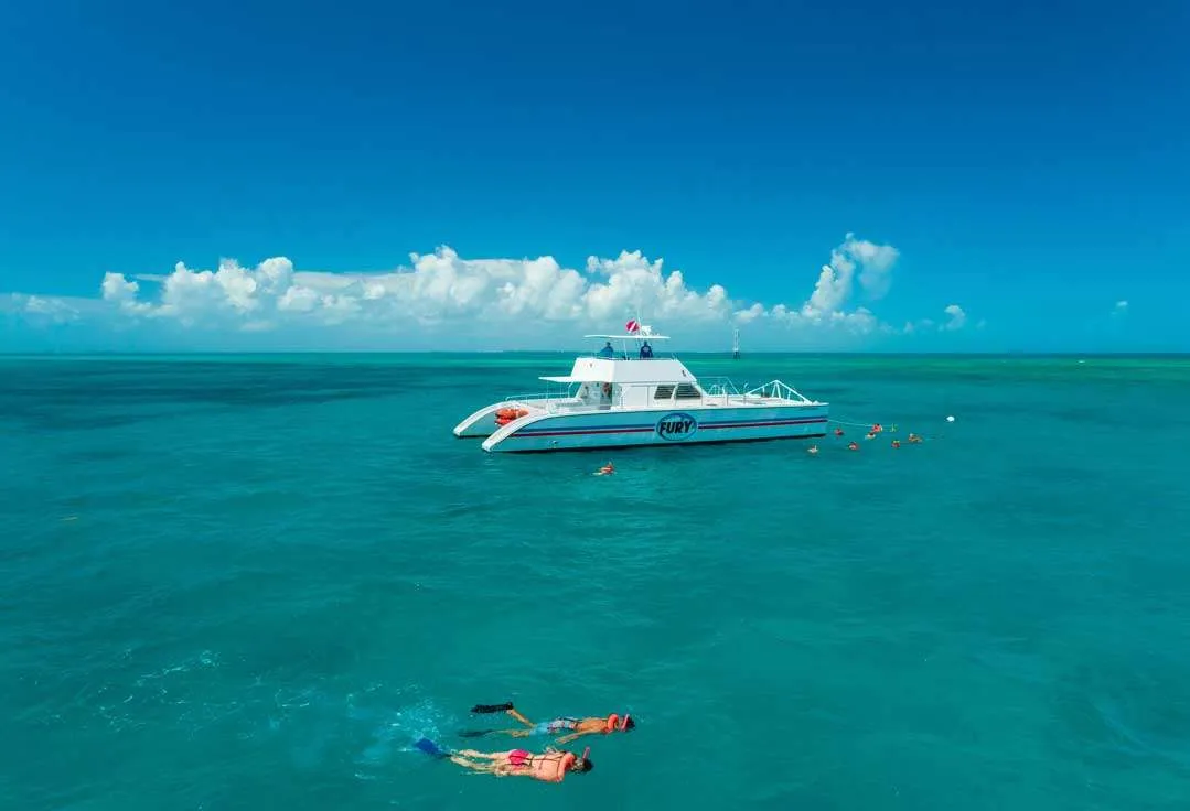 Guests snorkeling a Key West Snorkeling trip having fun!